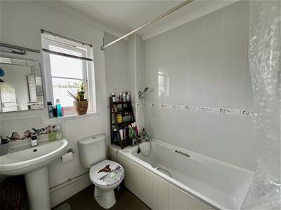 Picture 16